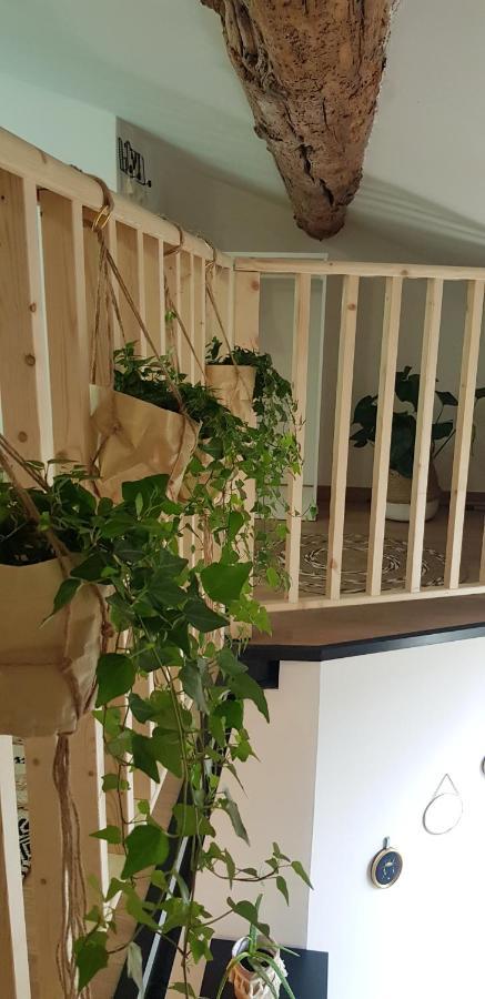 Studio Mediterraneenne Montpellier Eksteriør bilde